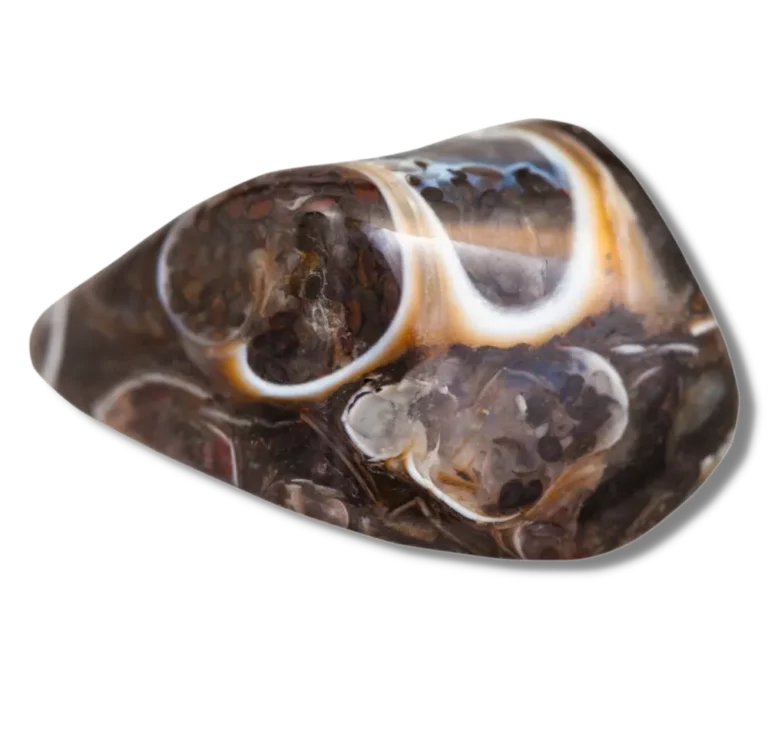 Fossil Agate: Properties, Benefits & Meanings