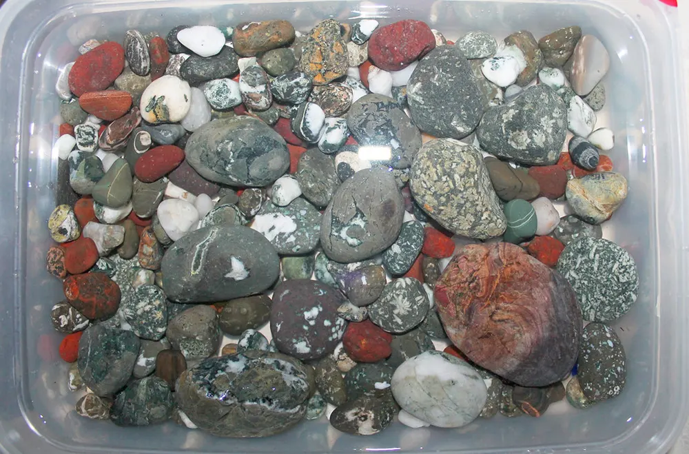 Dallasite stones in a bucket