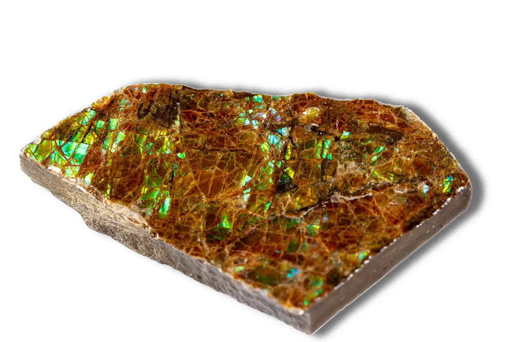 Ammolite Cost and Value